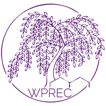 wprec-transparent-deeppurple